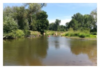 Image 5 - 