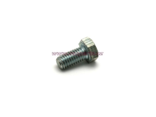 šroub M5x10 Zn