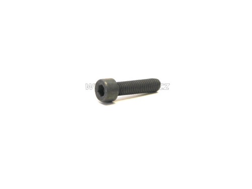 šroub spoj.potrubí EGR  FUMO E-5 , M31 E-5