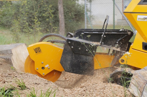 P 56 RX