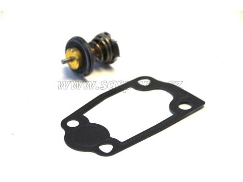 termostat motoru  FUMO, E-4,5, M31