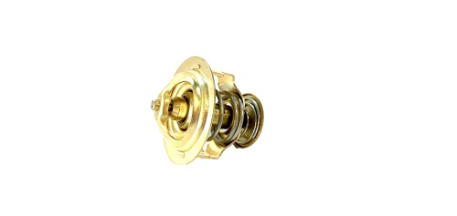 termostat CATERPILLAR