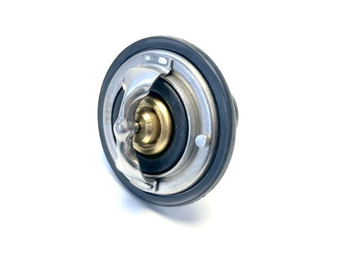 termostat NISSAN