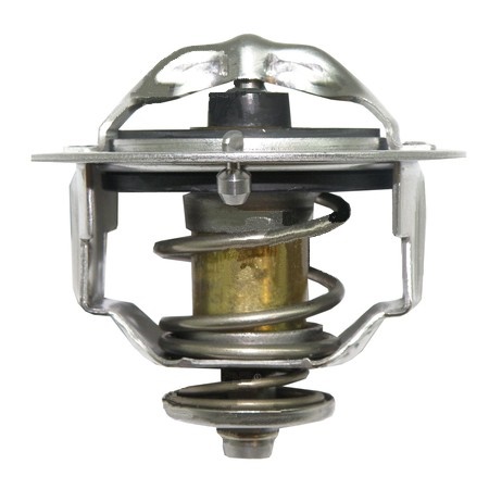 termostat MANITOU